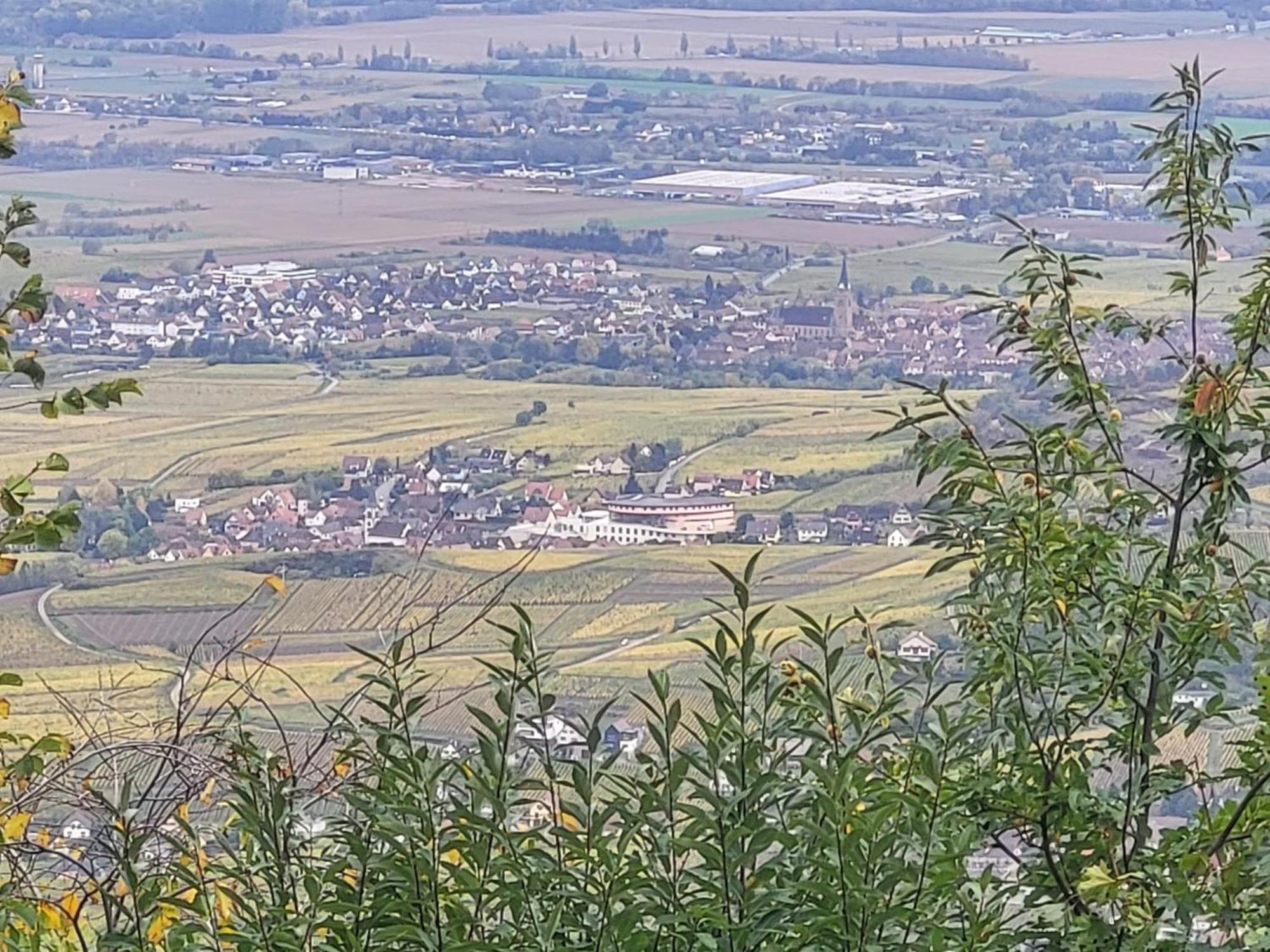 Sur La Route Du Vin Villa Rorschwihr Luaran gambar